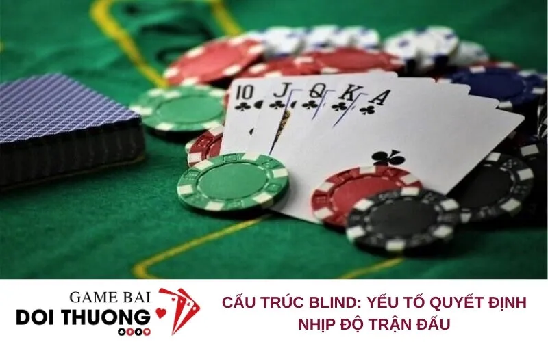 Phân Biệt Poker Cash Game và Tournament: Sự Khác Biệt Cốt Lõi - SO68.GAMES