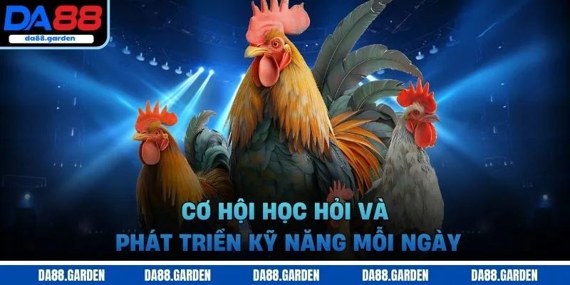 Đá Gà DA88 – Trải Nghiệm Cá Cược Trực Tuyến Không Thể Bỏ Lỡ - SO68.GAMES